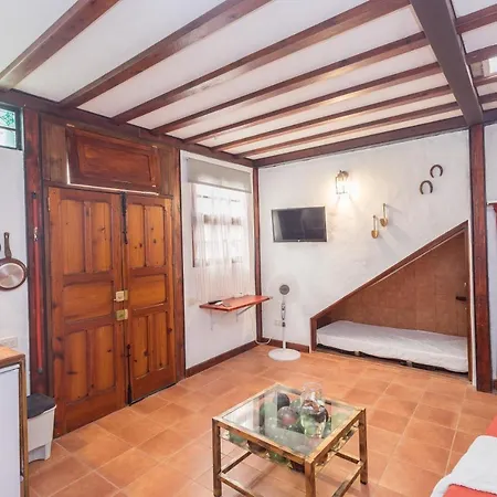 Strelitzia Estudio Agaete Apartament