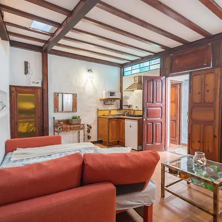 Strelitzia Estudio Agaete