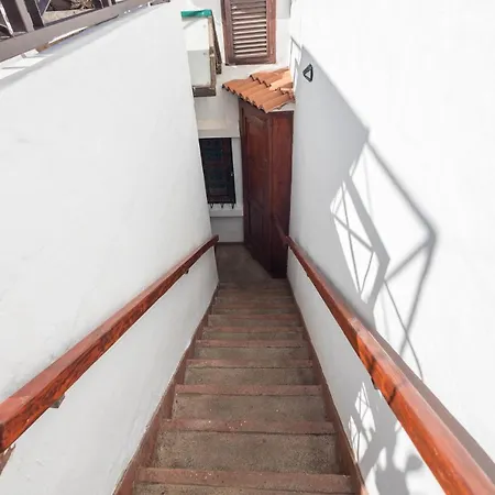 Strelitzia Estudio Agaete