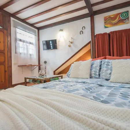 Strelitzia Estudio Agaete Apartament *