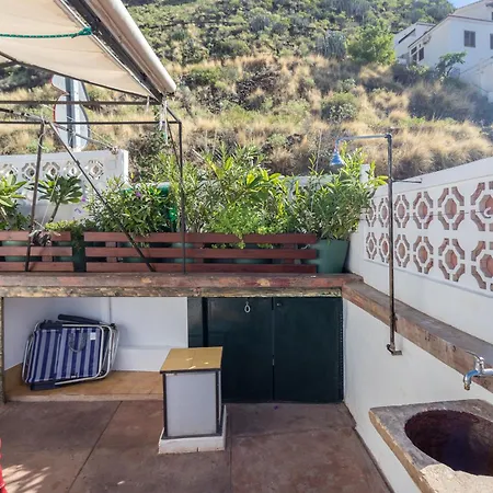 Strelitzia Estudio Agaete *