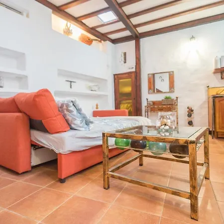 Strelitzia Estudio Agaete